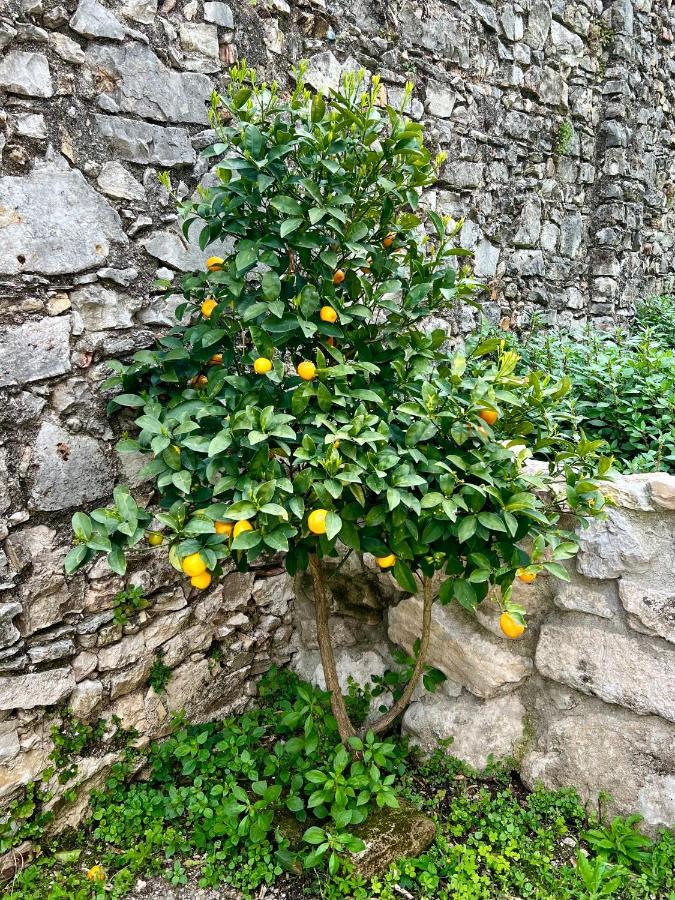 Villa Del Lis Gargnano Εξωτερικό φωτογραφία